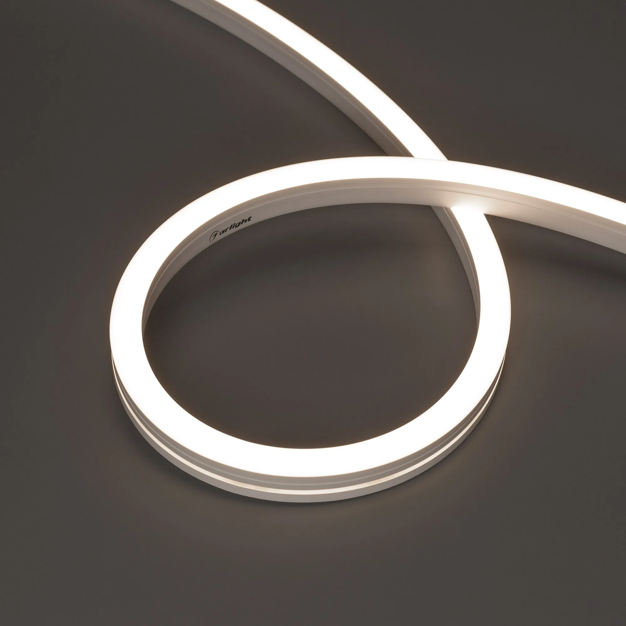 Гибкий неон ARL-MOONLIGHT-1712-SIDE 24V Day (Arlight, 9.6 Вт/м, IP67) - изображение товара